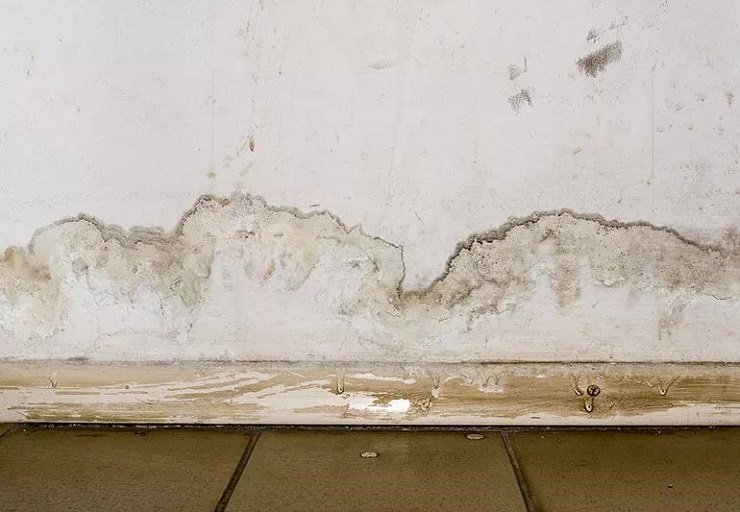 Mold Prevention After Water Damage: Restoration Tips That&nbsp;Work